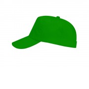 Бейсболка Uranus унисекс, папоротниковый