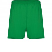 Спортивные шорты Calcio детские, папоротниковый