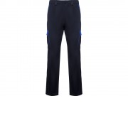 Брюки Trooper, нэйви/королевский синий