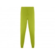 Брюки Fiber, фисташковый