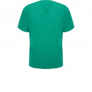 Рубашка мужская Ferox, нежно-зеленый