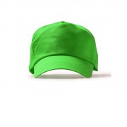 Бейсболка FREYA 5-ти панельная, папоротник