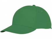 Пятипанельная кепка Hades, зеленый папоротник