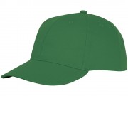 Шестипанельная кепка Ares, зеленый папоротник