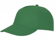 Кепка из 5 панелей Feniks, зеленый папоротник