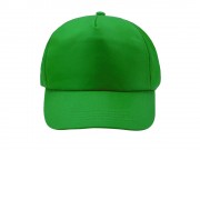Бейсболка CALISTO из RPET 5-панельная, папоротник
