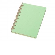 Живой блокнот с семенами цветов, зеленое яблоко