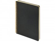 Бизнес тетрадь на гребне А5 Pragmatic, 60 листов в клетку, черный