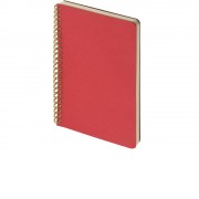 Бизнес тетрадь на гребне А5 Pragmatic, 60 листов в клетку, красный