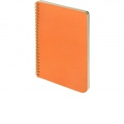 Бизнес тетрадь на гребне А5 Pragmatic, 60 листов в клетку, оранжевый