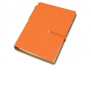 Набор стикеров А6 Write and stick с ручкой и блокнотом, оранжевый