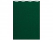 Бизнес - блокнот Альт А4 (198 х 285 мм) Office 60 л., зеленый