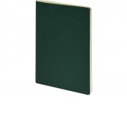 Бизнес тетрадь А5 Pragmatic, 40 листов в клетку, зеленый