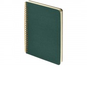 Бизнес тетрадь на гребне А5 Pragmatic, 60 листов в клетку, зеленый