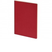 Бизнес тетрадь А5 Pragmatic, 40 листов в клетку, красный