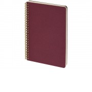 Бизнес тетрадь на гребне А5 Pragmatic, 60 листов в клетку, бордовый