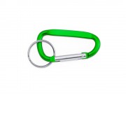 Брелок-карабин для ключей PALE, папоротник