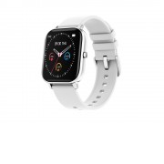 Смарт-часы Canyon SW-74 Wildberry , IP67, серебристый (Р)