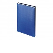 Ежедневник А5 датированный Velvet 2025, синий