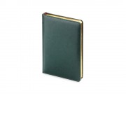 Ежедневник А5 датированный Sidney Nebraska 2025, зеленый (золотой обрез)