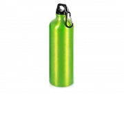 Бутылка Hip M с карабином, 770 мл, зеленый (Р)
