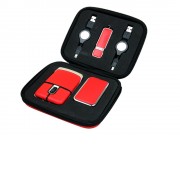 Подарочный набор USB-SET в кожанном исполнении в коробочке на 8 Гб, красный