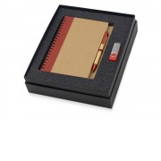 Подарочный набор Essentials с флешкой и блокнотом А5 с ручкой, красный