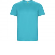 Футболка Imola мужская, бирюзовый