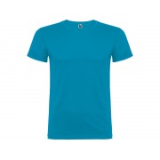 Футболка Beagle мужская, бирюзовый