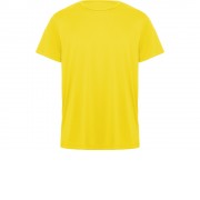 Футболка Daytona мужская, желтый