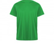 Футболка Daytona мужская, папоротниковый