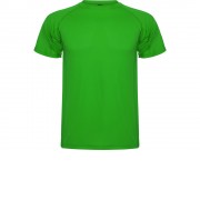 Спортивная футболка Montecarlo мужская, папоротниковый