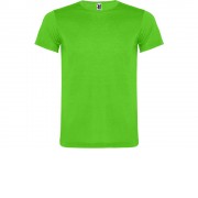 Футболка Akita мужская, неоновый зеленый