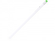 Карандаш антибактериальный GRYFIN с контрастным ластиком, белый/папоротник