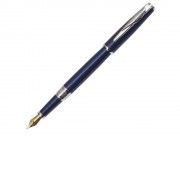 Ручка перьевая SECRET Business с колпачком. Pierre Cardin