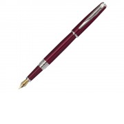 Ручка перьевая SECRET Business с колпачком. Pierre Cardin