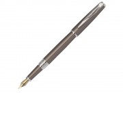 Ручка перьевая SECRET Business с колпачком. Pierre Cardin