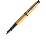 Перьевая ручка Waterman Expert GoldF BLK в подарочной упаковке
