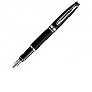 Перьевая ручка Waterman Expert 3, цвет: Matte Black CT, перо: F