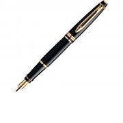 Перьевая ручка Waterman Expert 3, цвет: Black Laque GT, перо: F