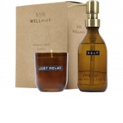 Набор Wellmark Discovery с дозатором мыла для рук объемом 250 мл и ароматизированной свечой 150 г с ароматом бамбука - Amber heather