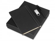 Подарочный набор Vision Pro Plus soft-touch с флешкой, ручкой и блокнотом А5, черный