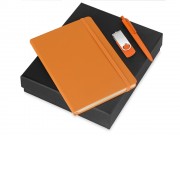 Подарочный набор Vision Pro Plus soft-touch с флешкой, ручкой и блокнотом А5, оранжевый