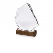 Награда Marvel, прозрачный (P)