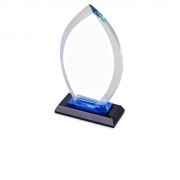 Награда Flame