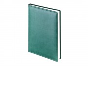 Ежедневник недатированный А4 Velvet, зеленый