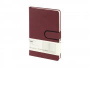 Ежедневник недатированный А5 Status, бордовый