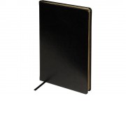 Ежедневник недатированный А5 Megapolis Nebraska, черный с золотым обрезом