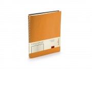 Ежедневник недатированный B5 Tintoretto New, оранжевый