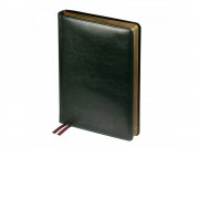 Ежедневник недатированный А5 Parliament, зеленый